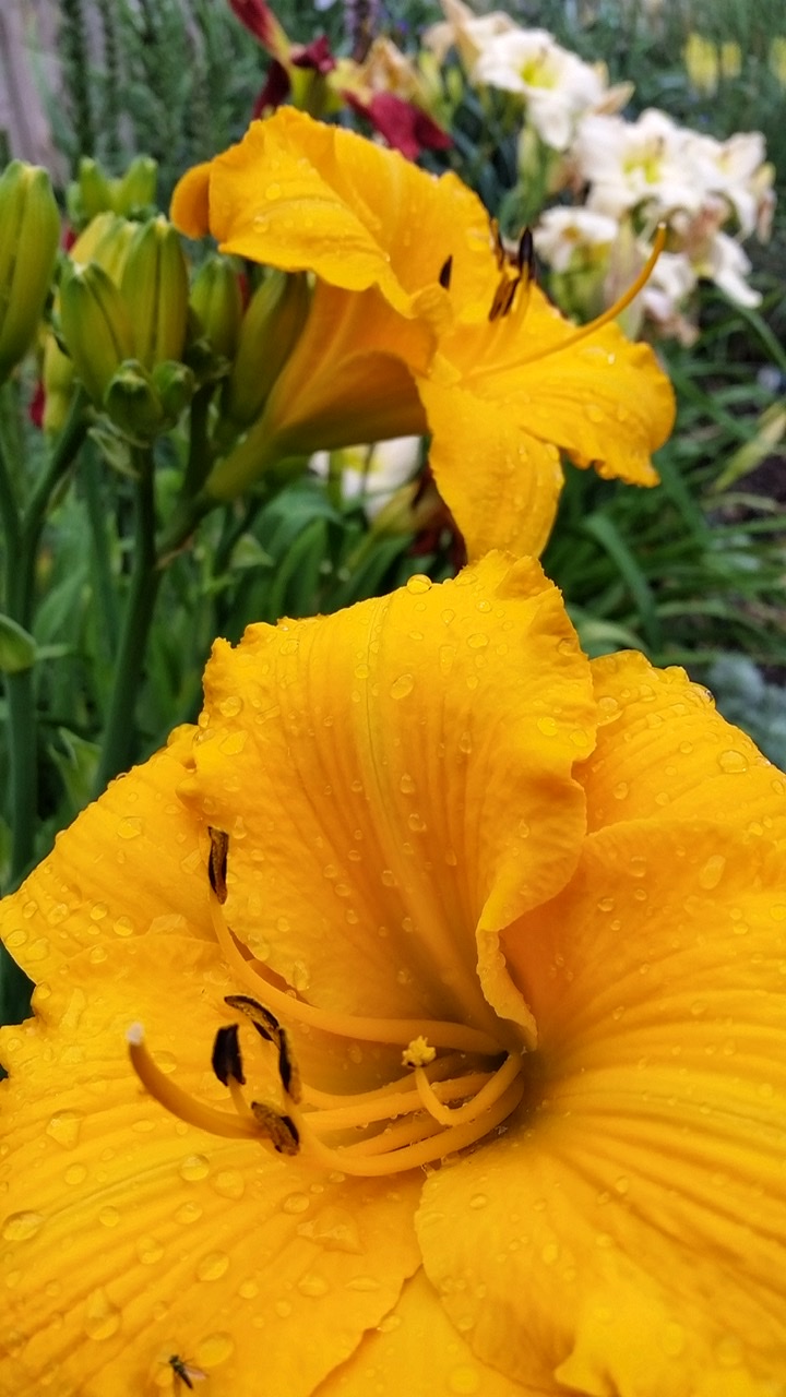7B70B53C-7483-4975-B2D1-23D97CC461F5.jpeg
