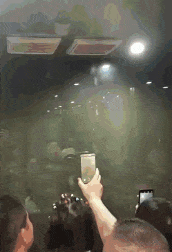 7B951086-EAD4-400C-904E-C6B18D142DD3.gif
