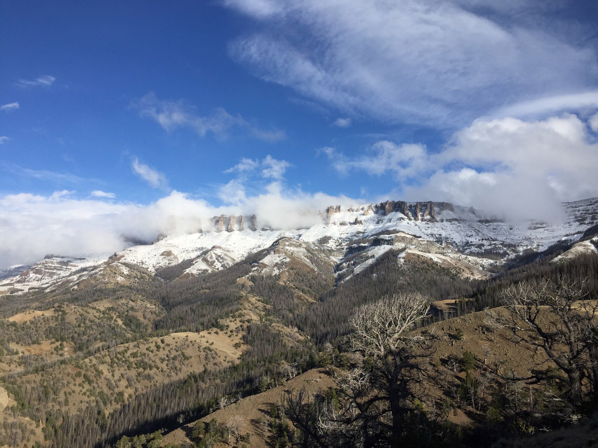 7B98A0FD-7954-4DBA-92B9-F46C65739DF5.jpeg