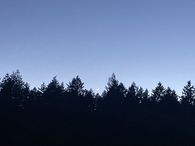 7C6461A9-4912-4D23-986F-1A9B2DB8E8E9.jpeg