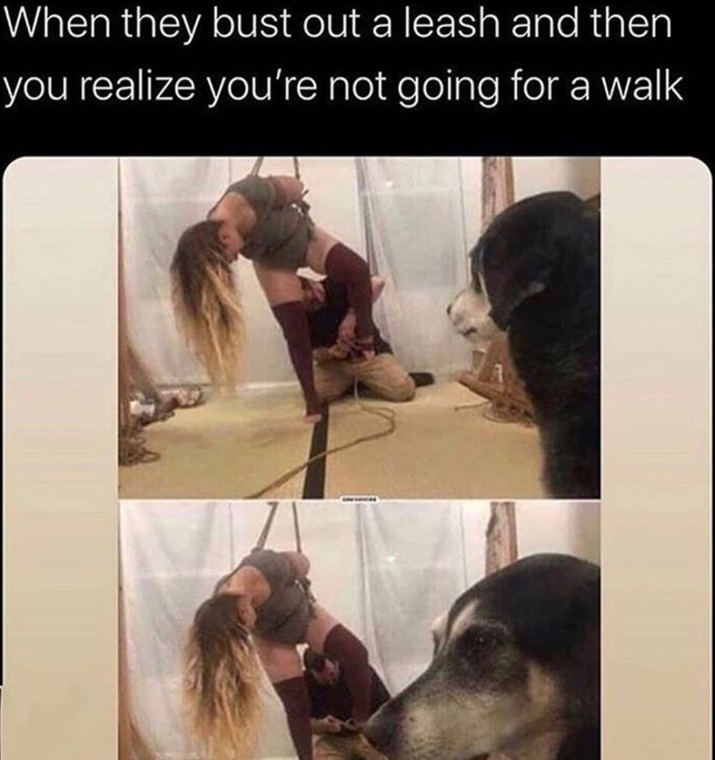 7C7F2D26-DE0B-4B0C-B76E-23BF9796597B.jpeg