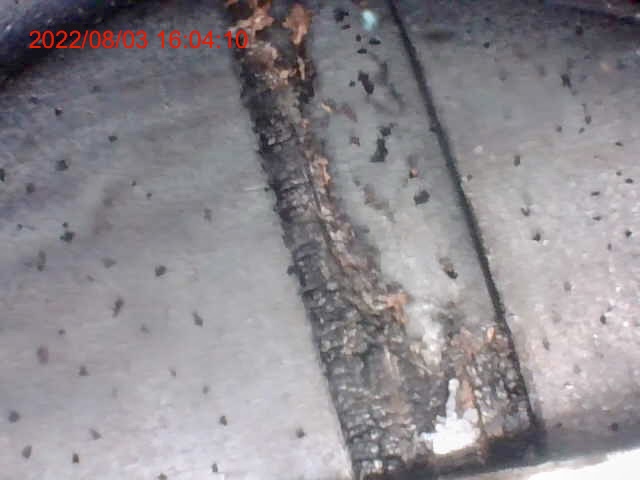 7D0296B4-5A5C-4096-9759-8E6FABD7A438.jpeg