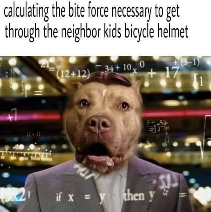 7D4A5355-8F9F-4076-BFB8-B74D4AEC16B2.jpeg