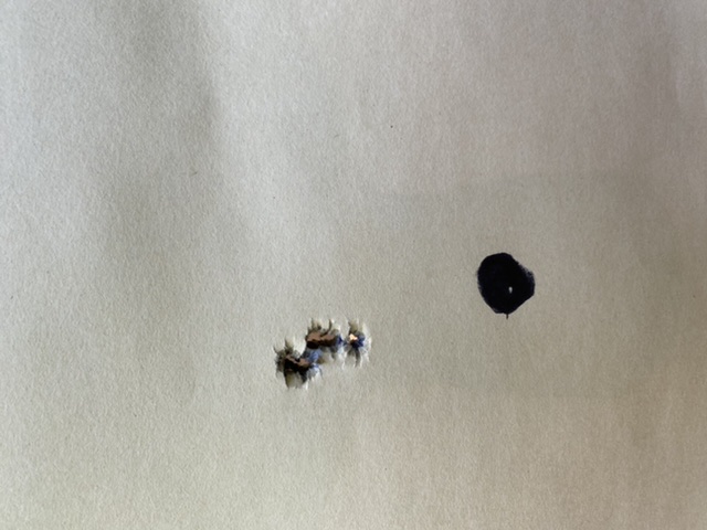 7D7E953B-E5C3-4A63-9152-C4307C5F6F18.jpeg