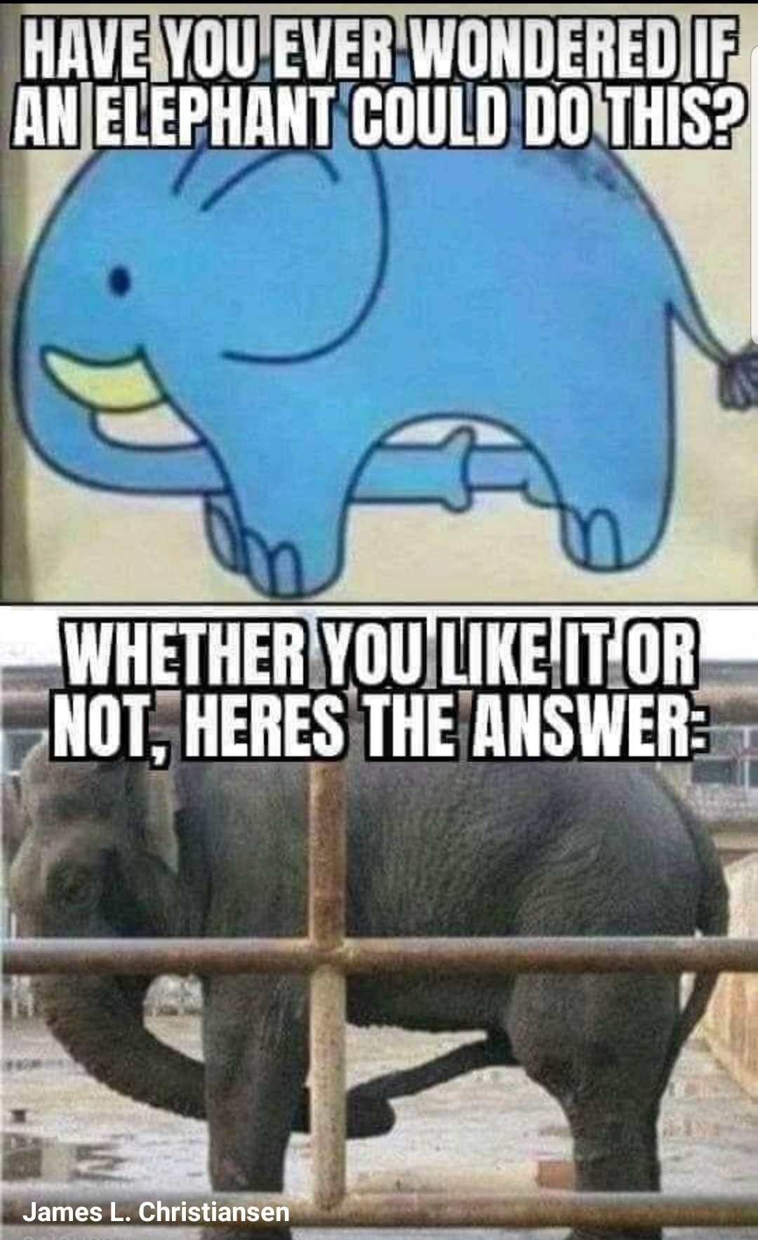 7EA9ED35-FB52-425E-8A44-2B286E730BF3.jpeg