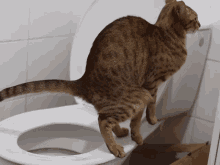7EBCAEB3-7072-4396-8D7A-F58879BA3915.gif