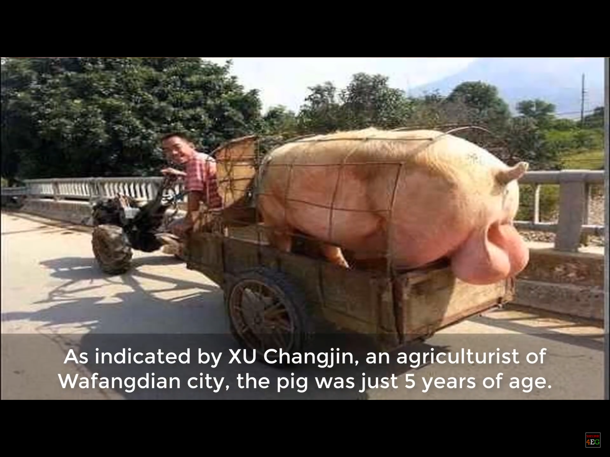 7F293037-C0FD-4BA4-B317-AEB101C8042A.png