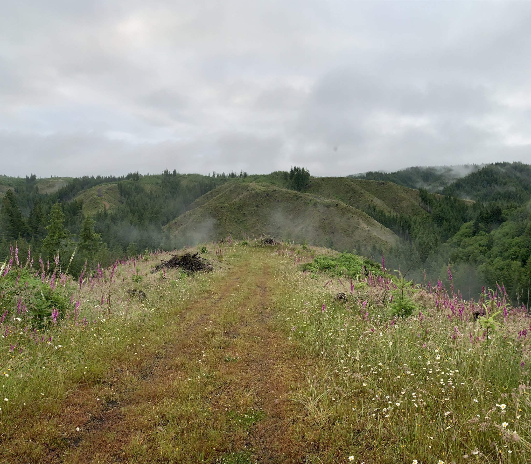 7F5D6EA3-1027-4B93-AB29-7D9B72109A50.jpeg