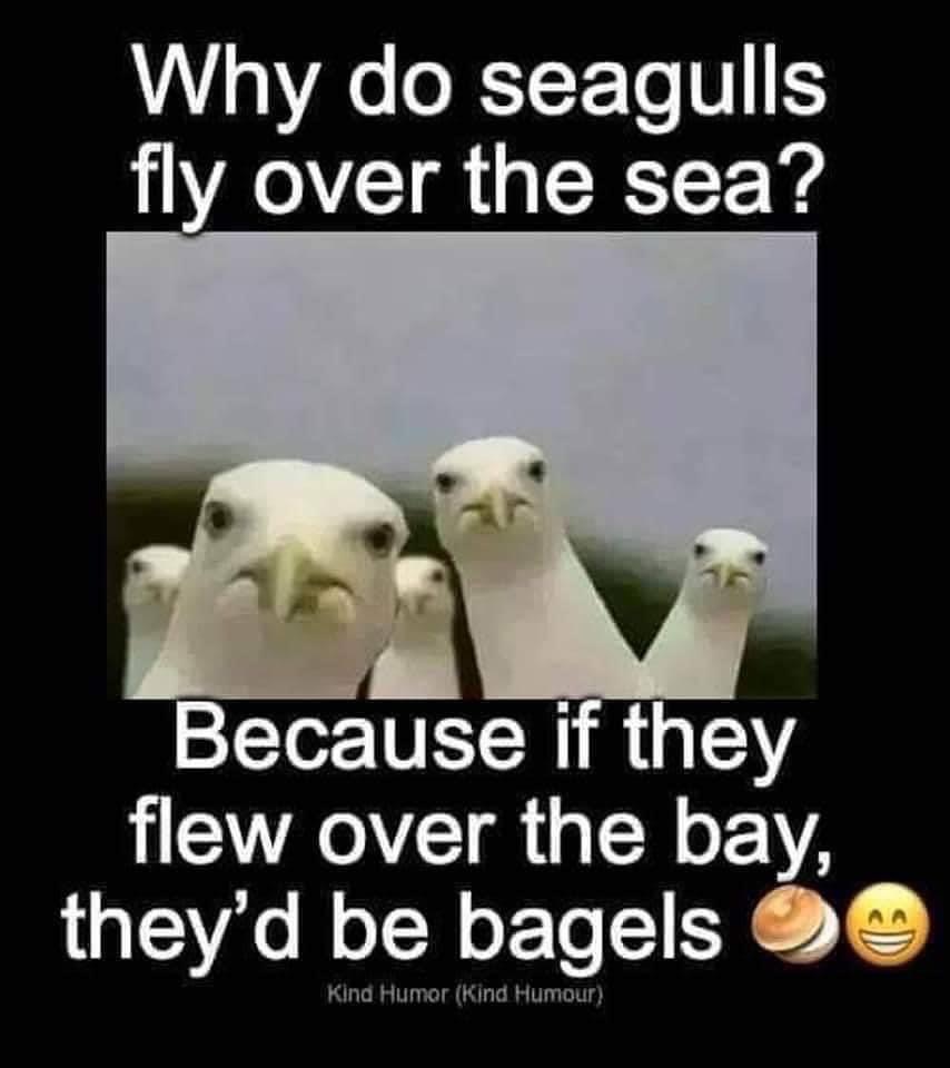 7F5FB97E-DD4E-4C2B-AA59-EC0171D3DE02.jpeg