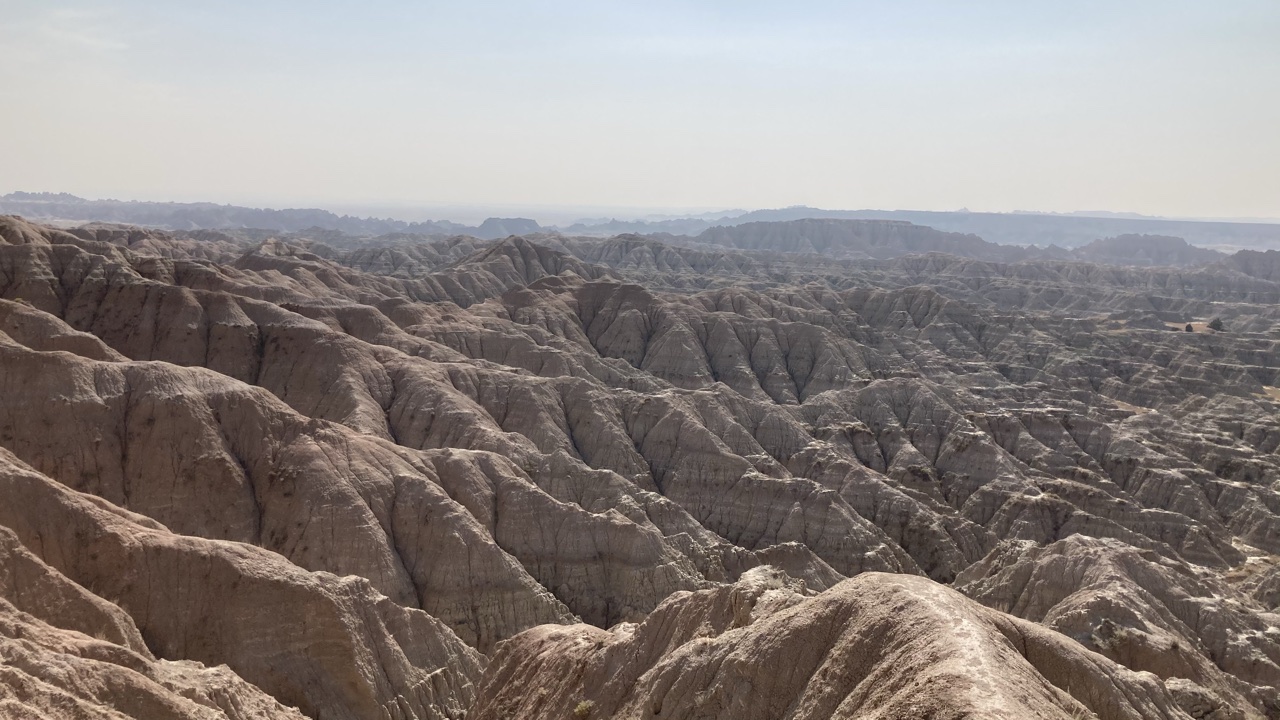 80008C13-6E27-4B0B-8B35-317C62CA2CC0.jpeg