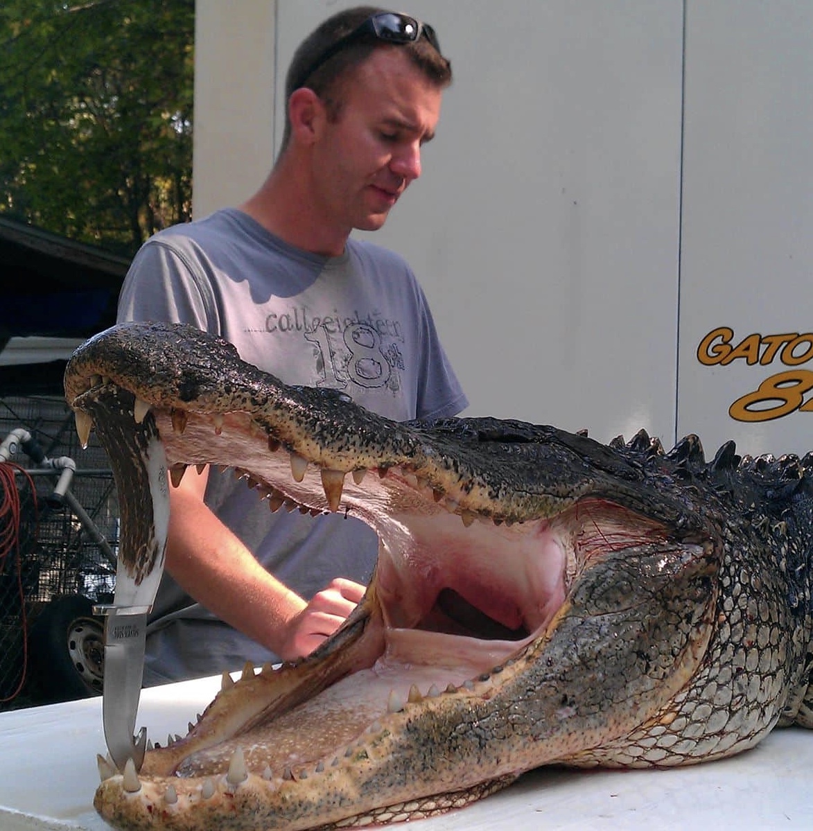 Hunting & Fishing - Alligator hunting