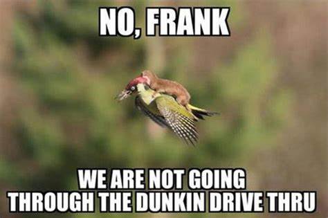809D8F91-9975-454D-B73F-412C68475ECB.jpeg