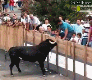 81146CCE-E258-4592-A880-277CCA9B65F5.gif