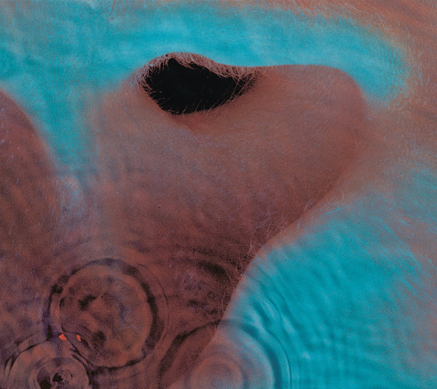 812wGeRhaAL._SL1500_.jpg