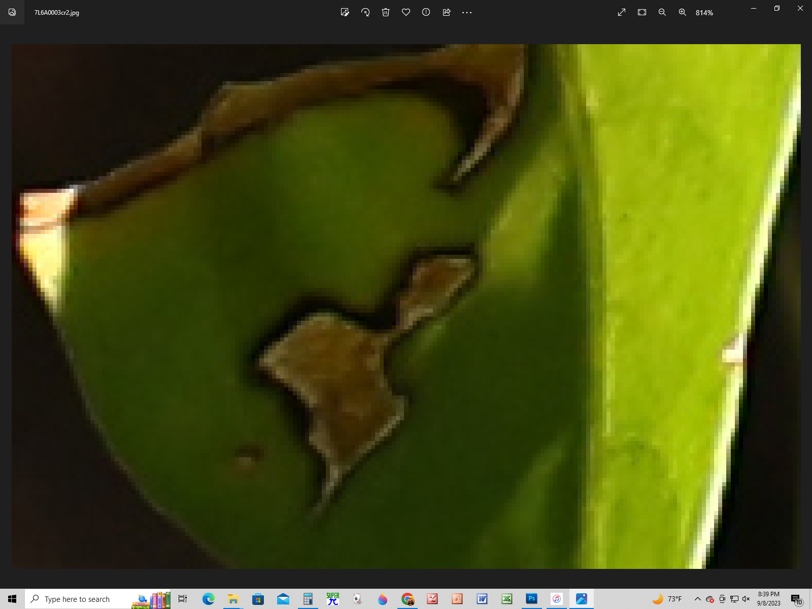 814%.png