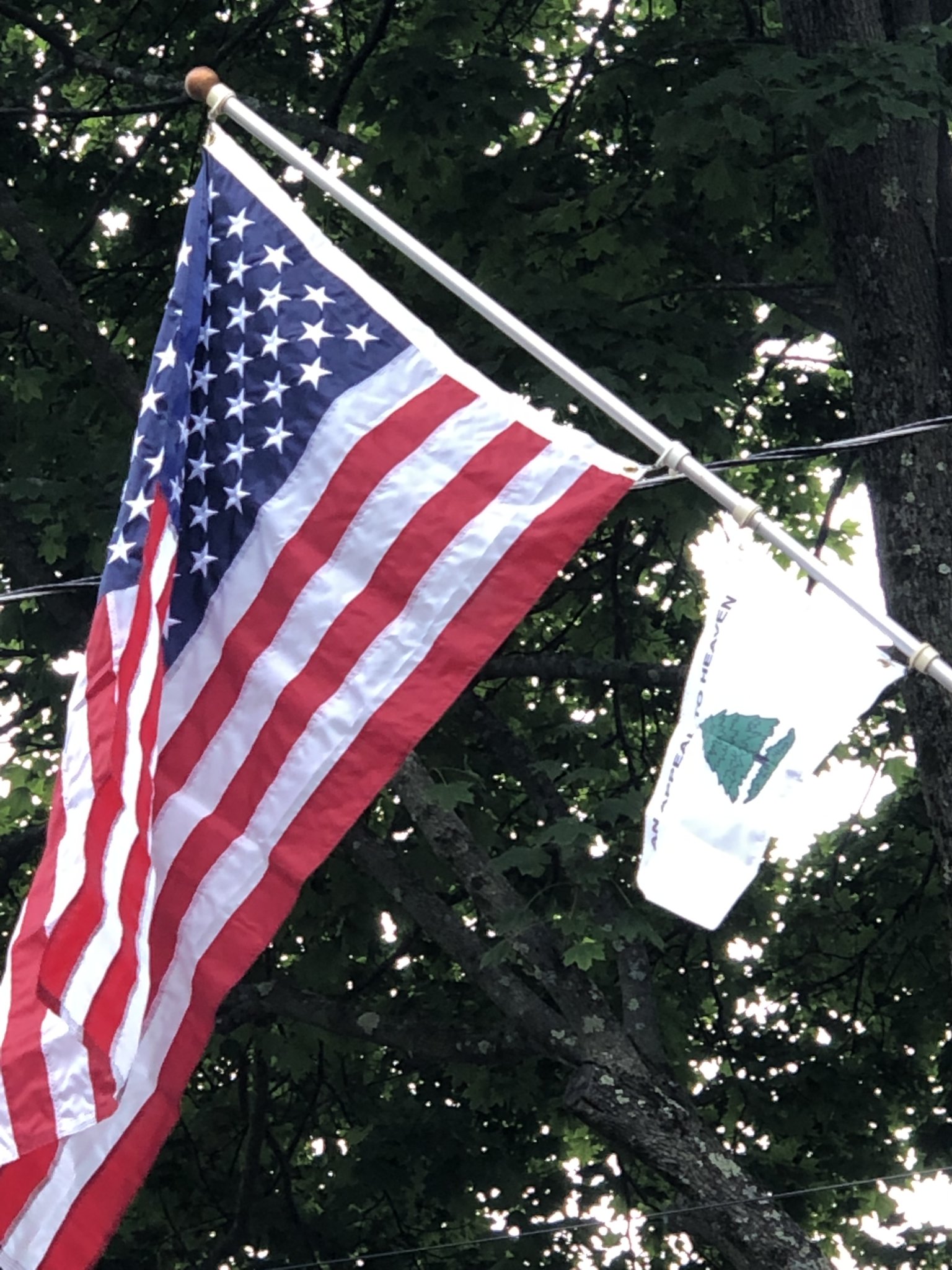 814F7637-4997-44C6-996D-D731E4385A25.jpeg