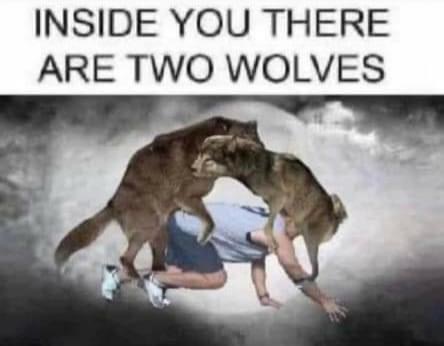 81B185D9-B10B-4DA1-9DFA-6F3928E3ABAA.jpeg