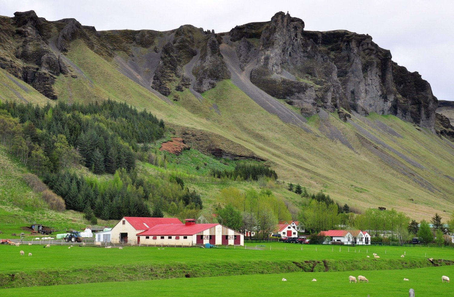 827652177_Icelandicfarm..thumb.jpeg.8e1bf2d6f5c5f1f360a4f13464390a83.jpeg