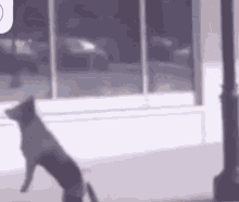 82C2F81F-EB9A-4BF2-A0A2-5088AF802853.gif