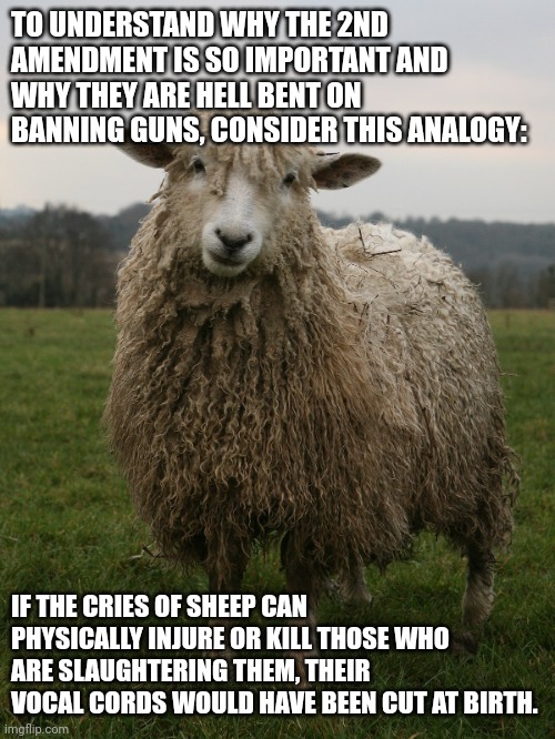 83zn4q.jpg