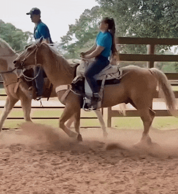 84738DC7-AA73-4004-B6DD-6D68C8CBF2E7.gif