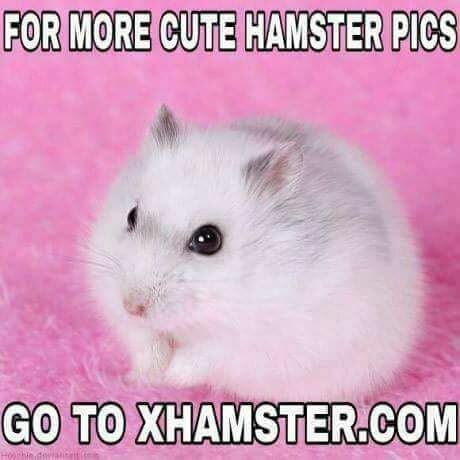 8495E8EF-FF3F-4158-BEB1-7E4101F652BC.jpeg
