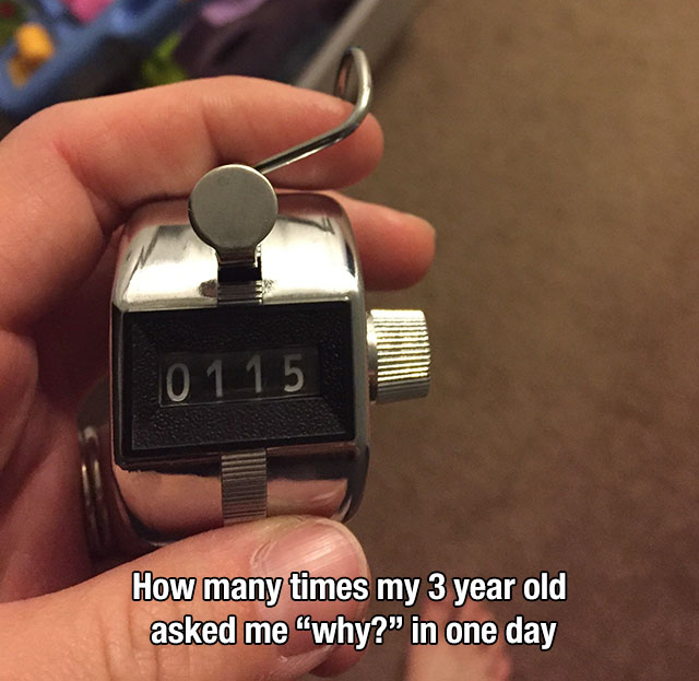 85626388.jpg