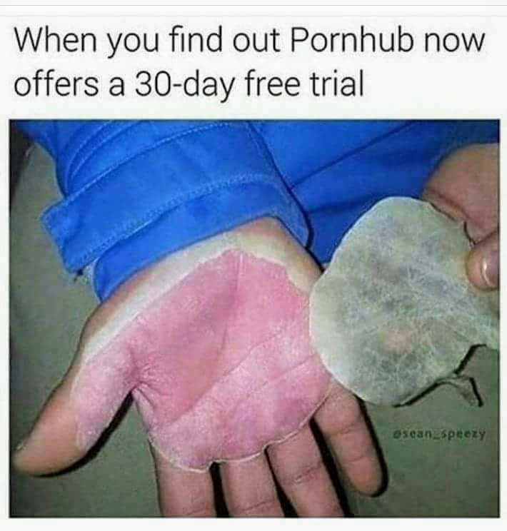 85665524.jpg