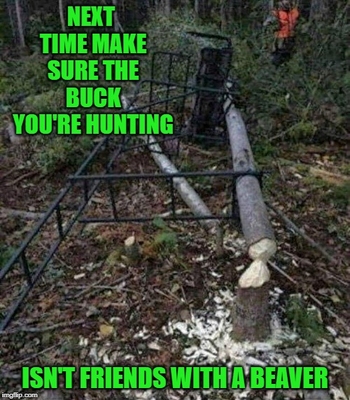 7070291