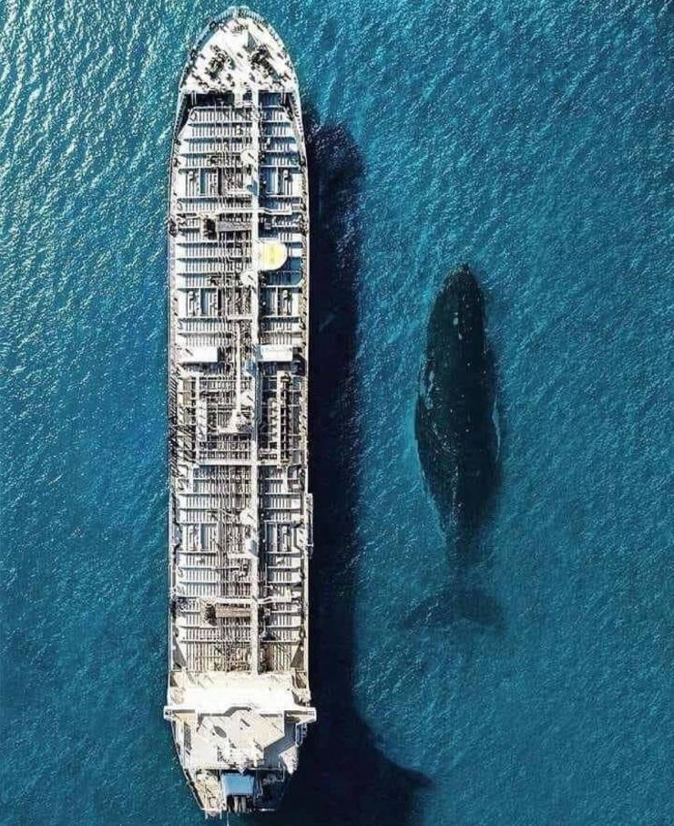 7089413