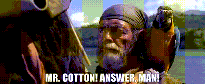 85d2f333-d99d-48d6-bf14-fe30d390bb7d_text.gif