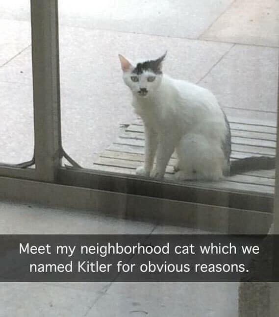 86042236.jpg