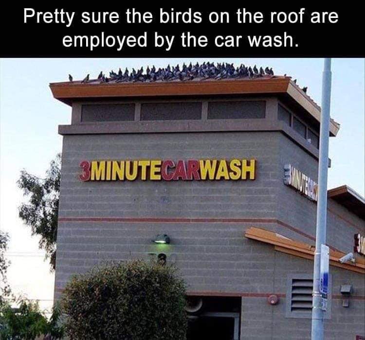 86056579.jpg