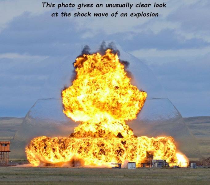 86195510.jpg