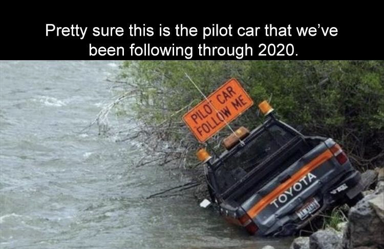 86310478.jpg
