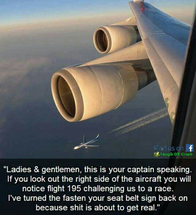 86312872.jpg