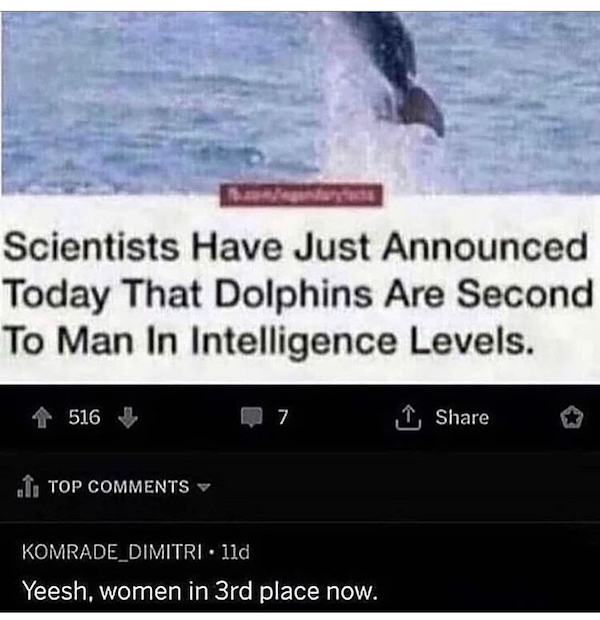 86327850.jpg