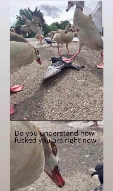 86329136.jpg