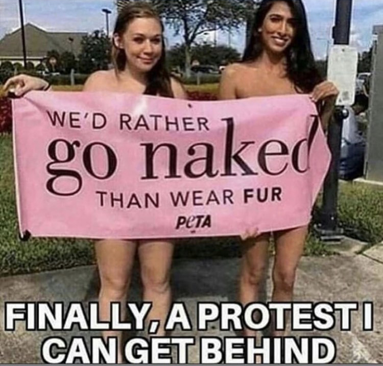 86332925.jpg
