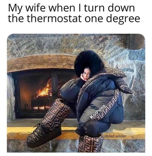 86365506.jpg