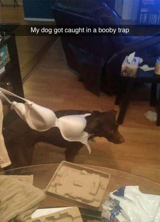 86469960.jpg