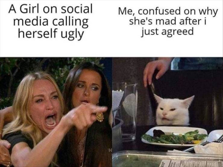 86520299.jpg