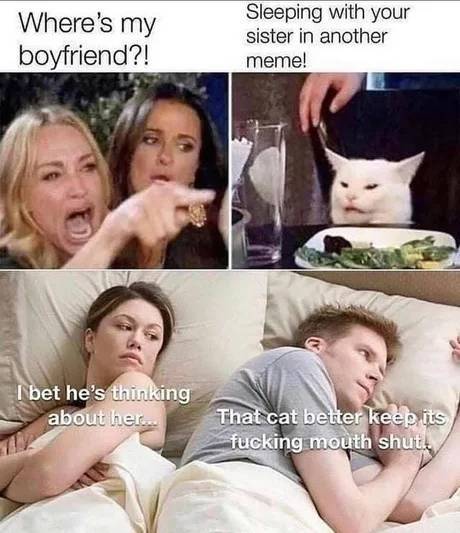 86574474.jpg