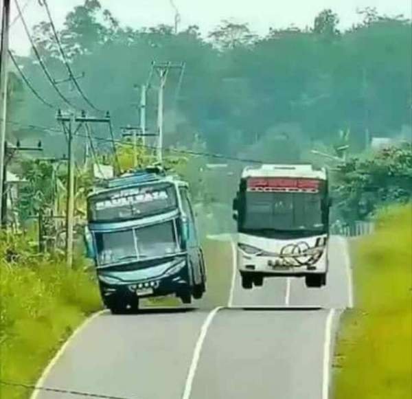 86592261.jpg