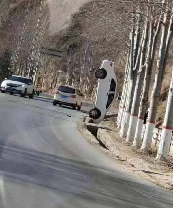86609801.jpg