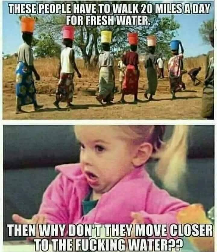 86697731.jpg