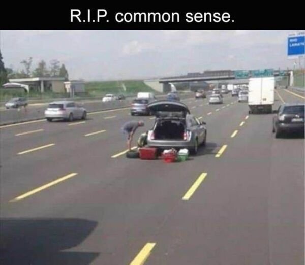 86800211.jpg