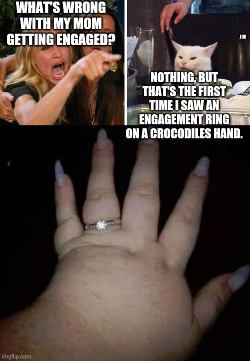 86945922.jpg