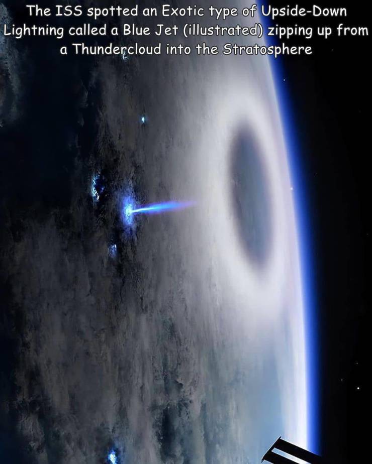 86952527.jpg