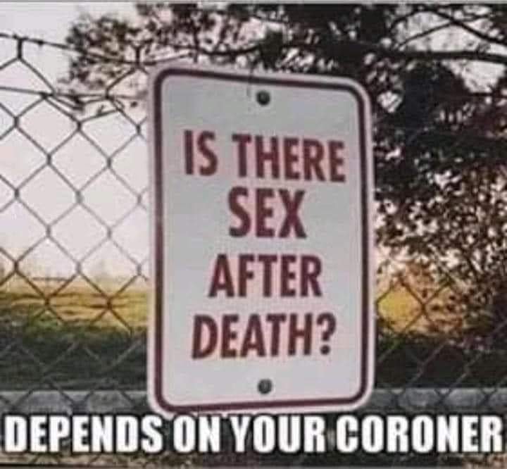 86976498.jpg